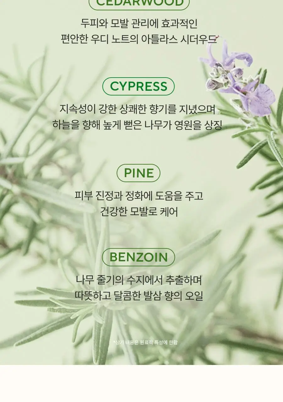 [두피강화/탈모증상완화] 아로마티카 로즈마리 스칼프 스케일링 샴푸 400ml (단품/더블세트/리필) 상세페이지 24
